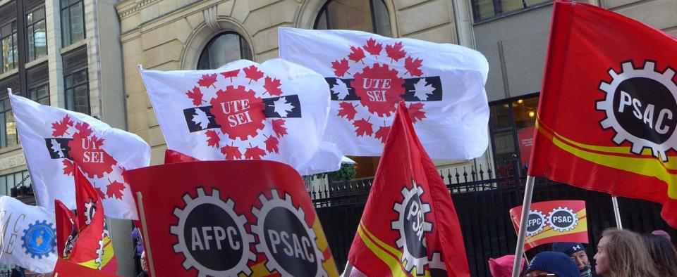 photo d'une manifestation - drapeau SEI et AFPC
